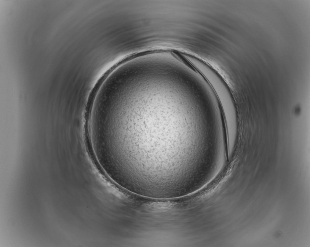 X0000091061134200708131124
