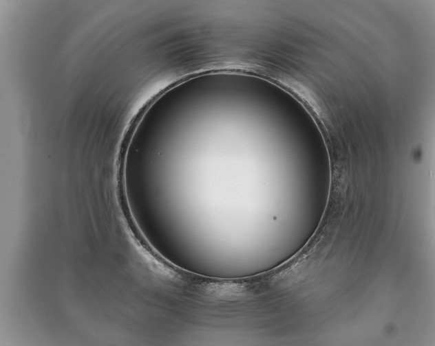 X0000091061135200708131124
