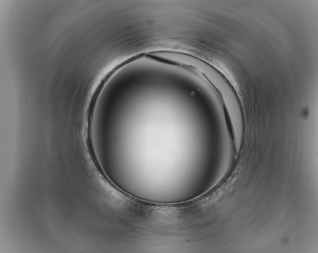 X0000091061136200708131124