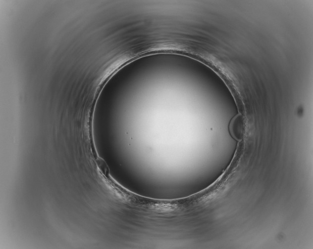 X0000091061137200708131124