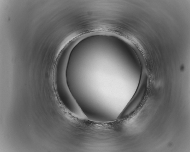 X0000091061138200708131124
