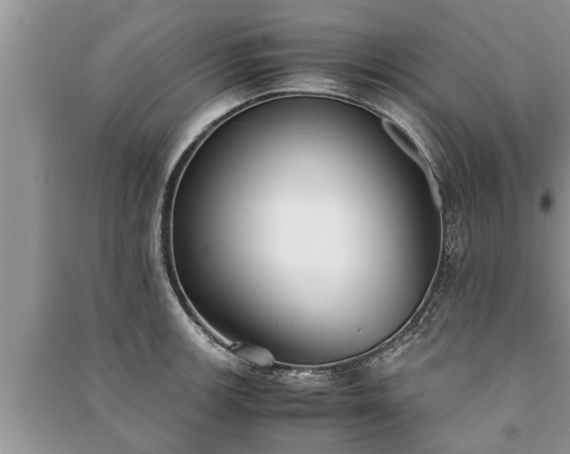 X0000091061139200708131124