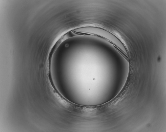 X0000091061140200708131124