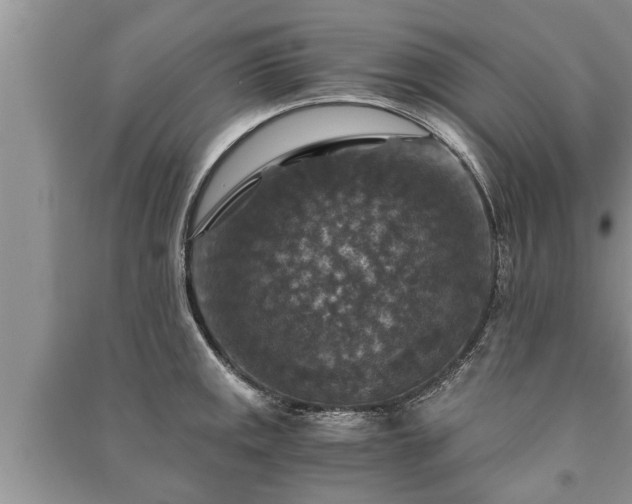 X0000091061141200708131124
