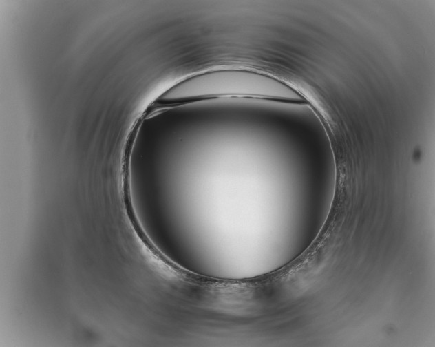 X0000091061143200708131124