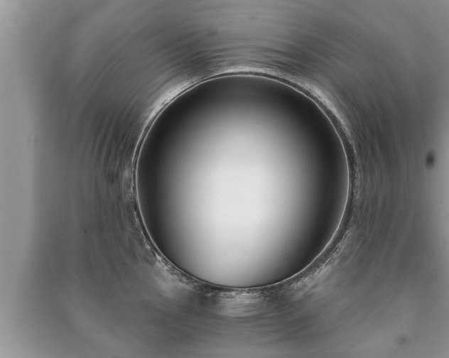 X0000091061145200708131124