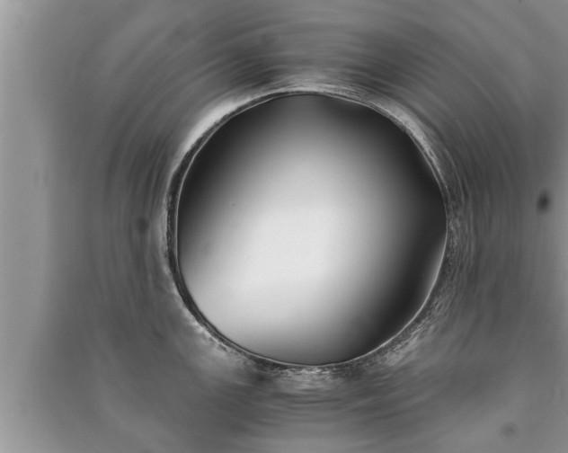 X0000091061147200708131124