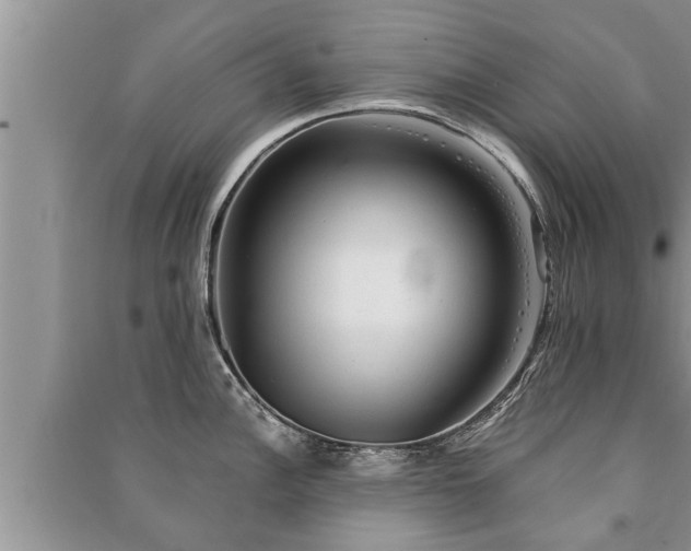 X0000091061148200708131124