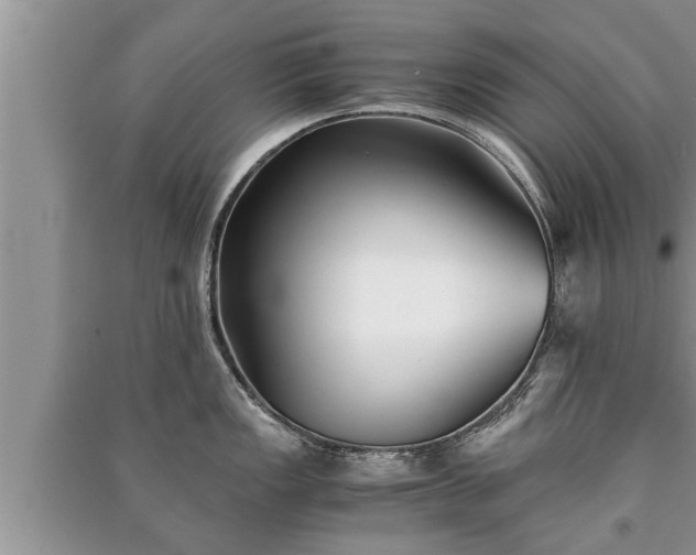 X0000091061149200708131124