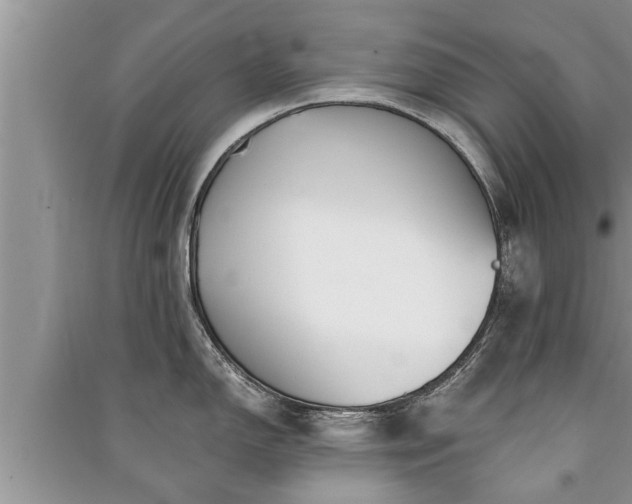 X0000091061150200708131124