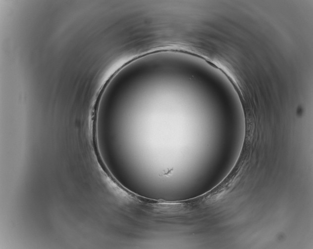 X0000091061151200708131124