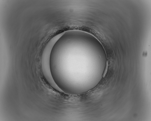 X0000091061153200708131123