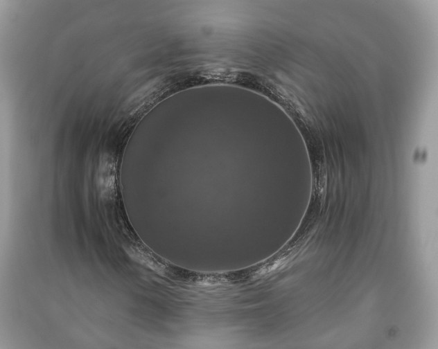X0000091061154200708131123