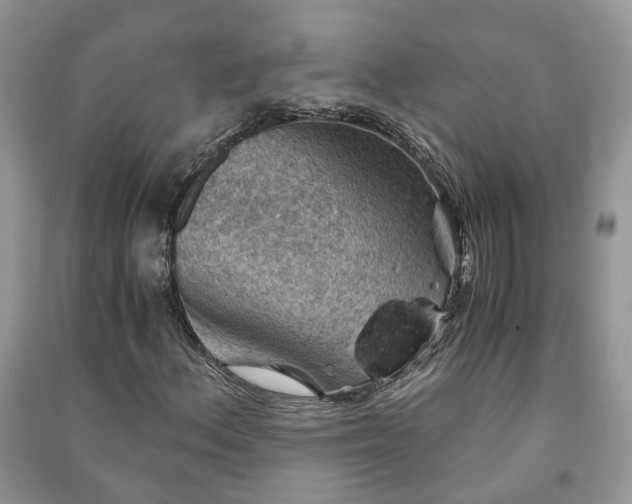 X0000091061156200708131123