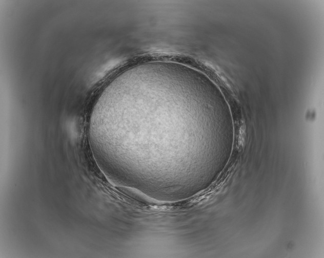 X0000091061157200708131123