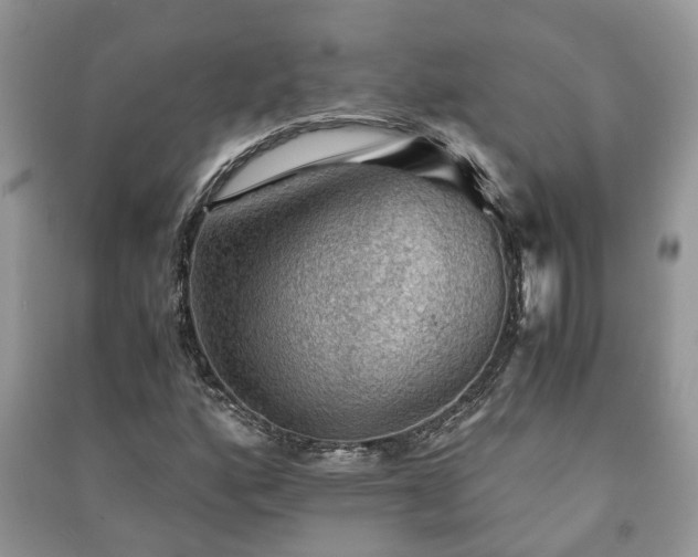 X0000091061160200708131123