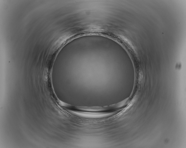 X0000091061161200708131123