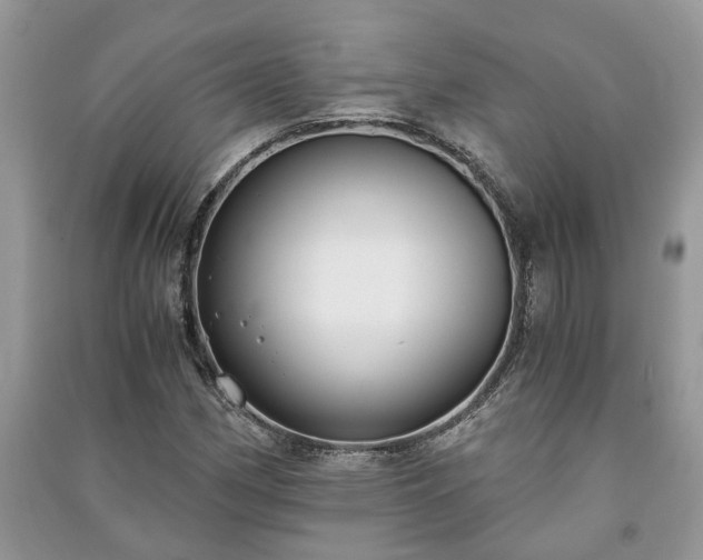 X0000091061162200708131123