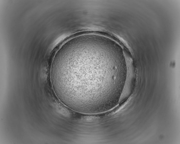 X0000091061163200708131123