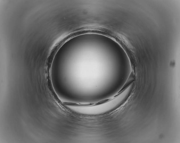 X0000091061164200708131123