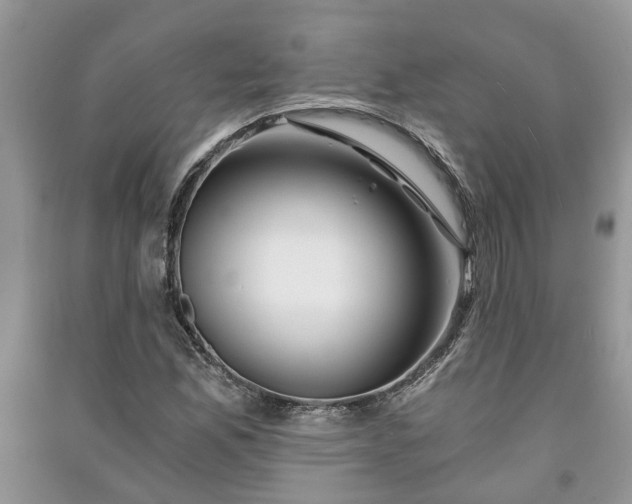 X0000091061165200708131123