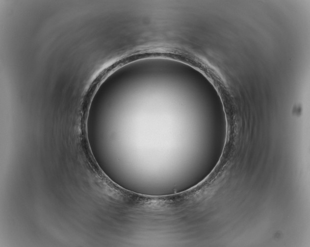 X0000091061166200708131123