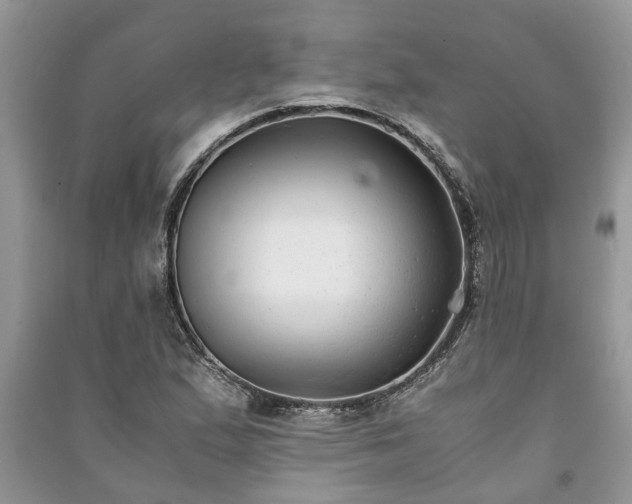 X0000091061167200708131123