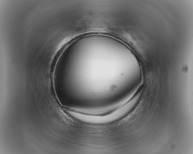 X0000091061168200708131123