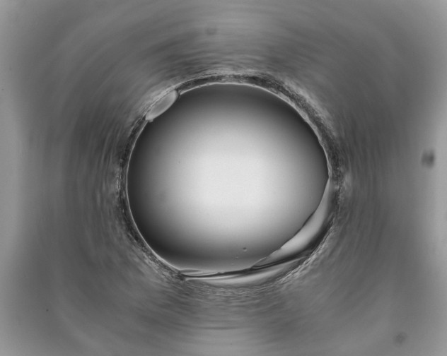 X0000091061169200708131123