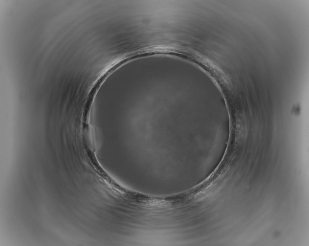 X0000091061170200708131123