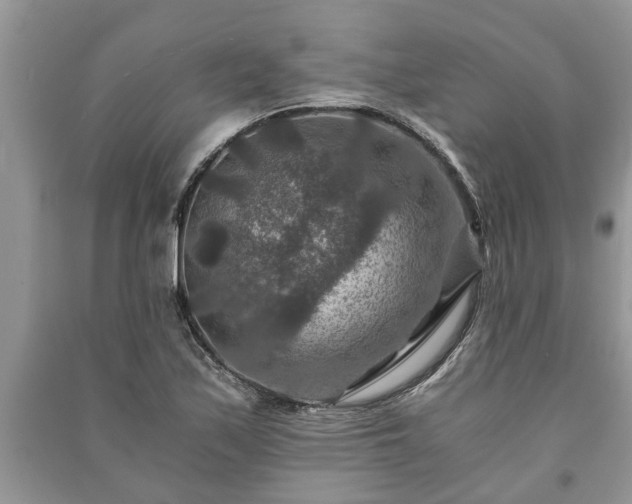 X0000091061171200708131123