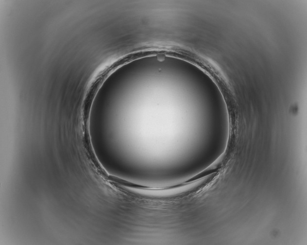 X0000091061172200708131123