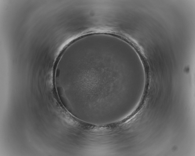 X0000091061174200708131123