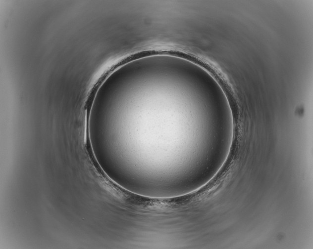 X0000091061175200708131123