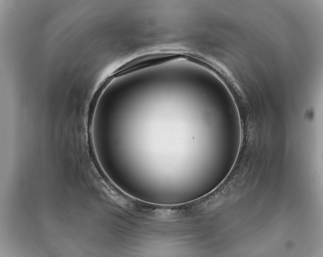 X0000091061176200708131123