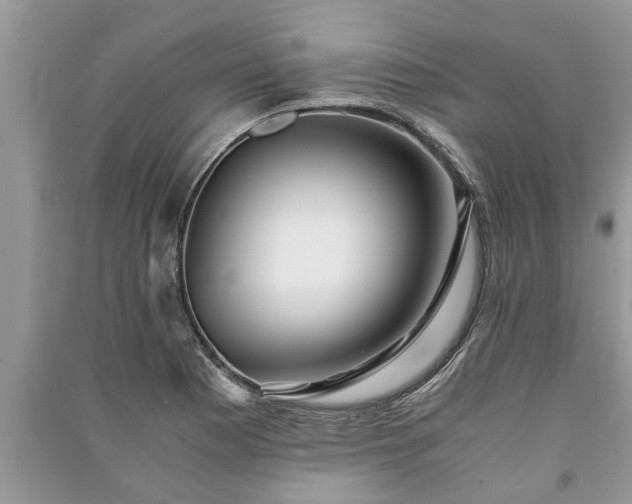 X0000091061177200708131123