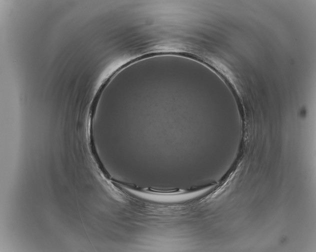 X0000091061179200708131123
