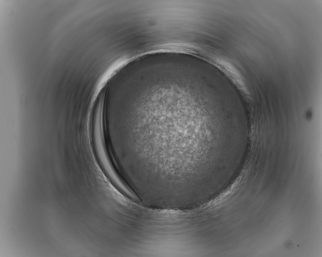 X0000091061180200708131123
