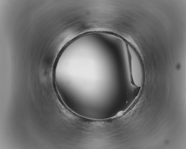 X0000091061181200708131123