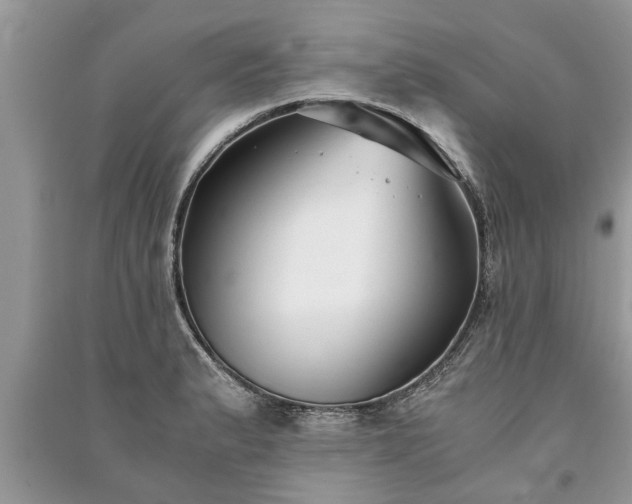 X0000091061183200708131123