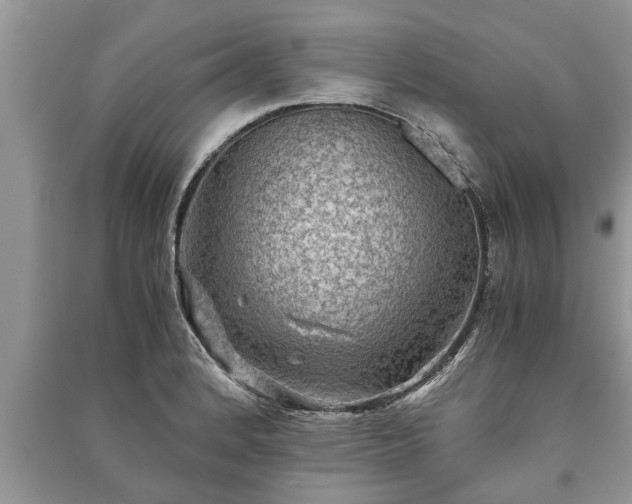 X0000091061184200708131123