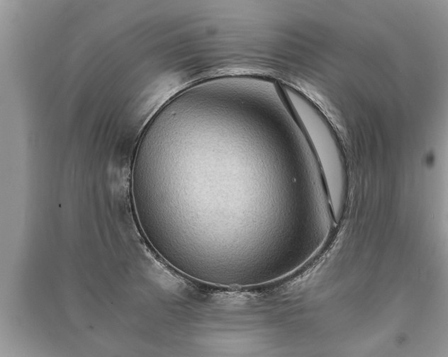 X0000091061185200708131123