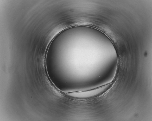X0000091061186200708131123