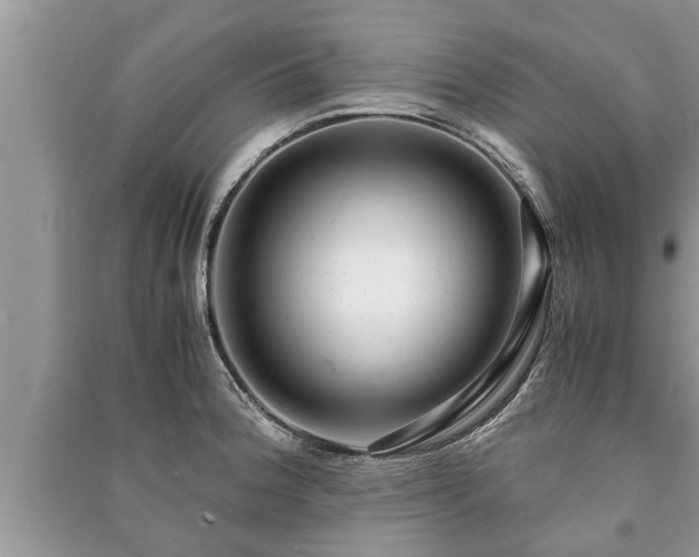 X0000091061188200708131123