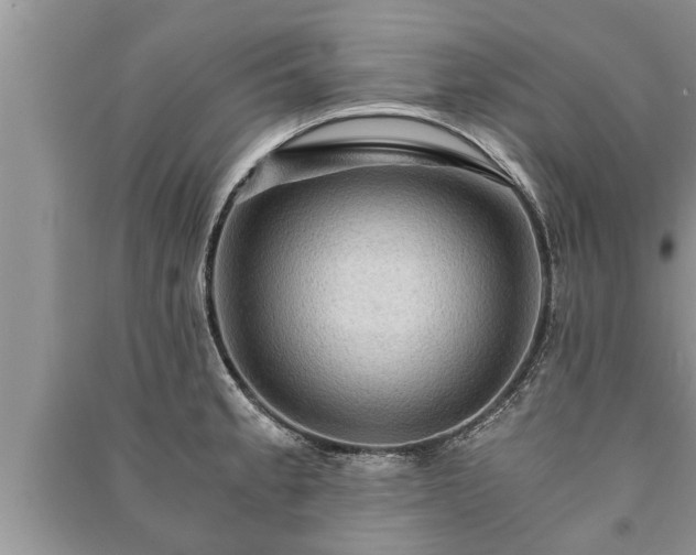 X0000091061189200708131123