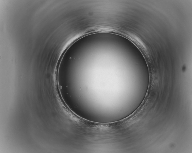 X0000091061190200708131123