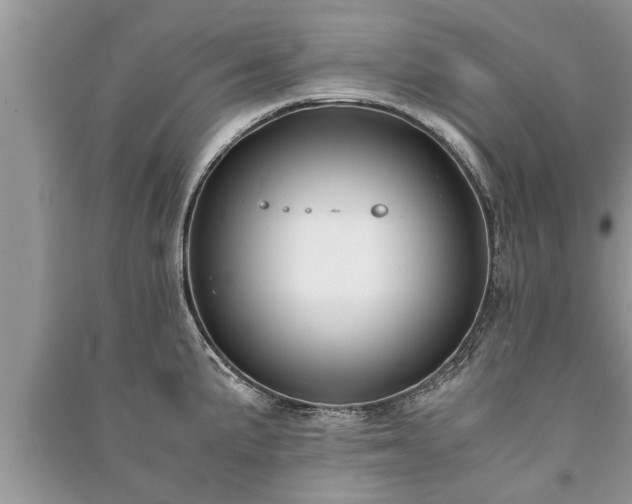 X0000091061191200708131123