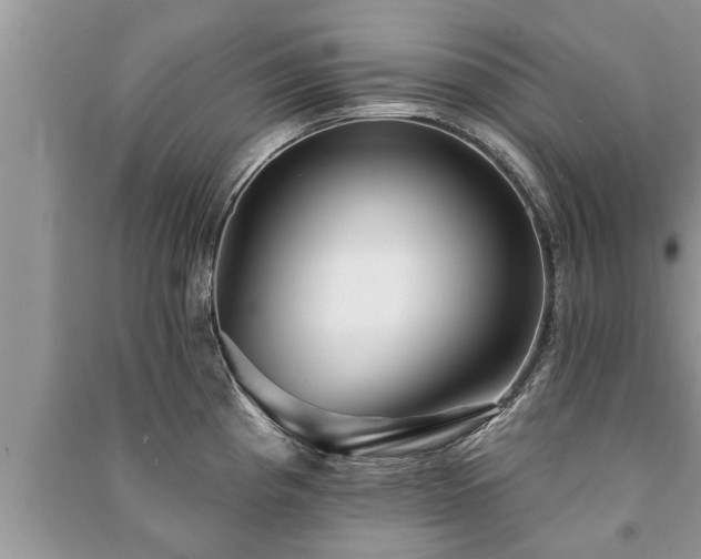 X0000091061193200708131123