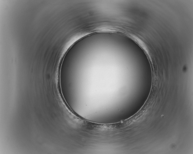 X0000091061195200708131123