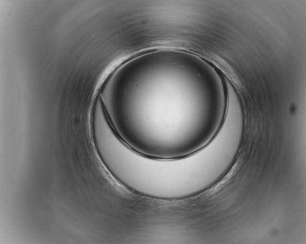 X0000091061196200708131123